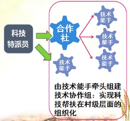 天津市科技幫扶信息服務平臺 專業信息技術咨詢服務助力發展