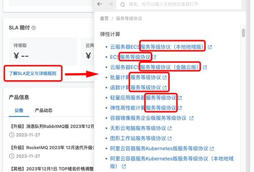 阿里云賠償到賬 解析嗶哩嗶哩的信息技術咨詢服務價值
